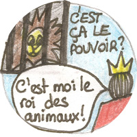 Badge n°91 pour les animaux