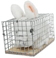Image de la peluche de lapin en cage
