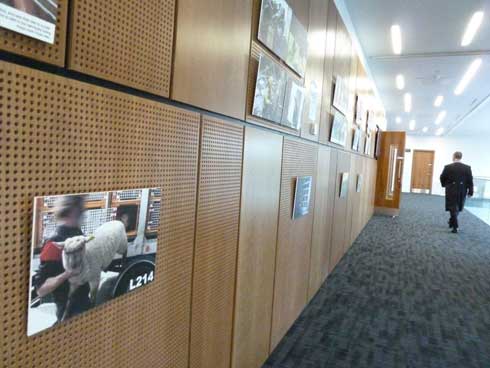 Expo photo à l'université vétérinaire d'Edimbourg