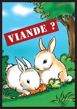 lapin_viande ?