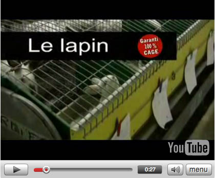 Clip lapin : garanti 100 % cage