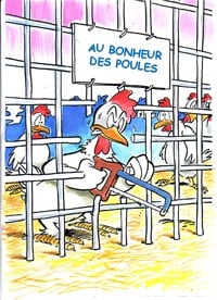 poules pondeuses en cage