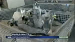 France 3 poitou charentes