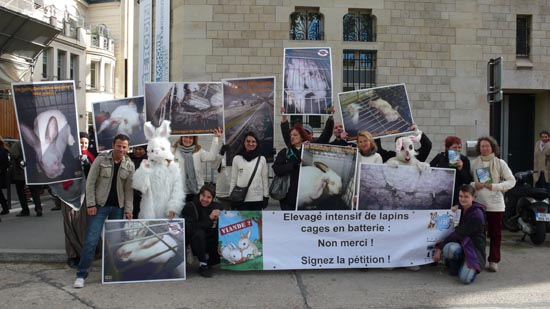 201010-manif-lapin.jpg