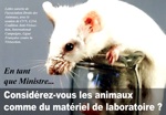 Carte postale anti-vivisection