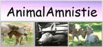 Animal Amnistie