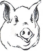 Logo du CLAMA