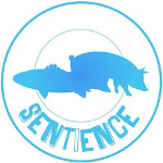 Sentience