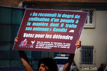 Politique-animaux.fr: Quelle place nos politiciens accordent-ils aux animaux ?