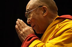 Le Dalaï Lama condamne l'élevage en cages des poules pondeuses