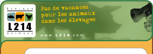 L214 : Pas de vacances pour les animaux dans les élevages