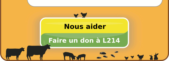 Nous aider : Faites un don à L214