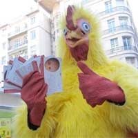 Eradiquons l élevage en cage des poules pondeuses