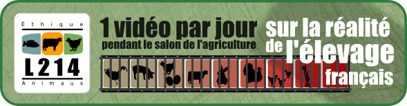 Notre salon de l'agriculture