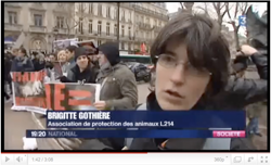 Sujet France 3