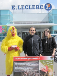 tournée poules pondeuses