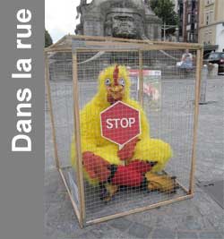 cage poule pondeuse