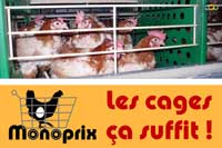 Actions Monoprix : rejoignez le mouvement !