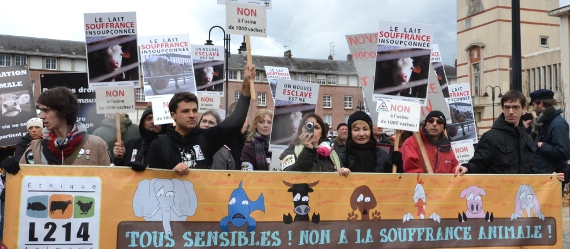 Manifestation contre l'élevage de 1000 vaches