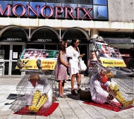 Action L214 devant Monoprix