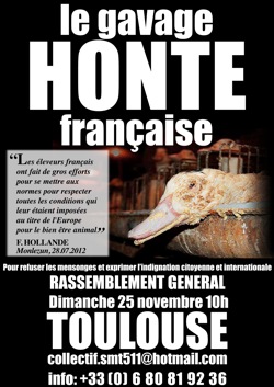 Manifestation contre le foie gras à Toulouse