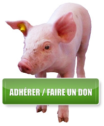 Adhérer / Faire un don