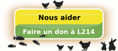 Nous aider : Faites un don à L214