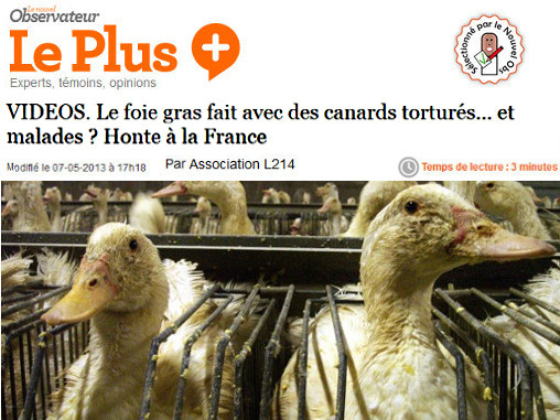 article sur le foie gras dans le Nouvel Obs