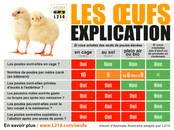 le tableau oeufs de L214