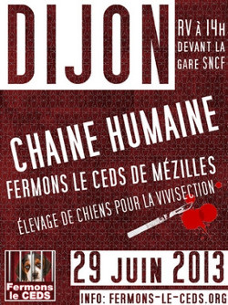 Chaîne humaine à Dijon