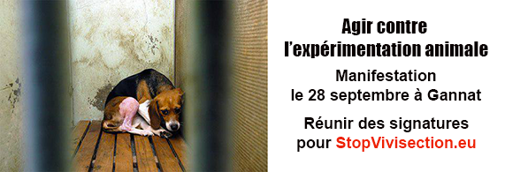 Action contre l'élevage Harlan de Gannat et StopVivisection.eu