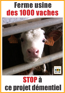 Panneau de manifestation contre l'élevage des 1000 vaches