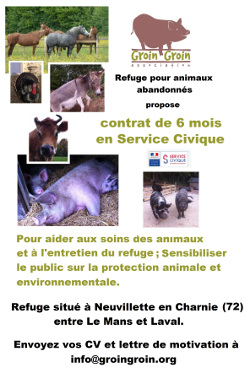 Recherche d'un service civique