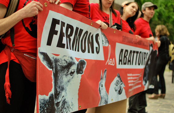 Marche pour la fermeture des abattoirs