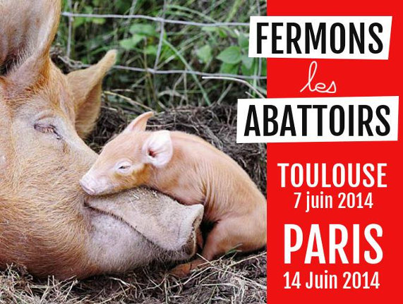 Marche pour la fermeture des abattoirs