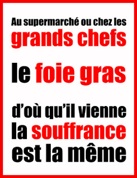 Foie gras Ernest Soulard