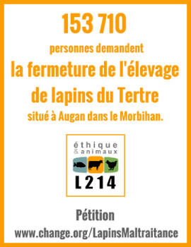 Remise de la pétition pour les lapins du Tertre