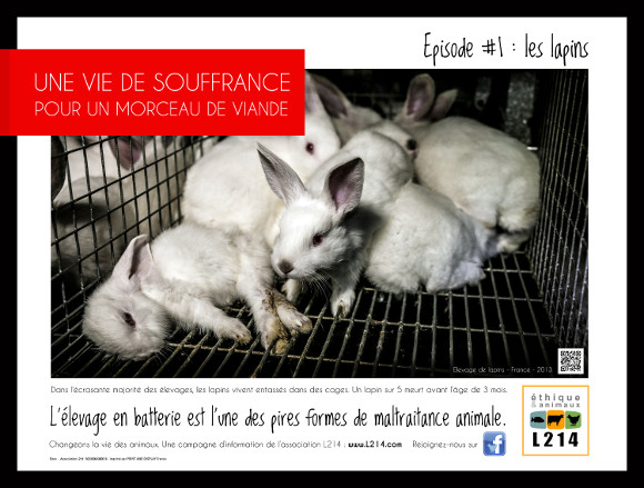 Affiche lapins dans le métro parisien