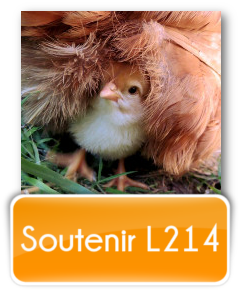 Soutenir L214