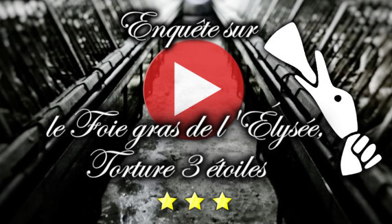 vidéo foie gras périgord