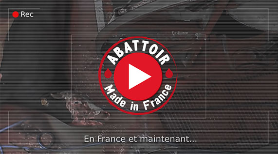 Vidéo d'enquête sur l'abattoir d'Alès