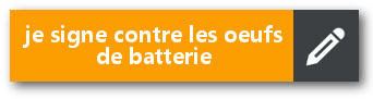 signer la pétition contre les oeufs de batterie