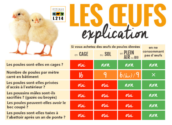 tableau oeufs codes modes élevages