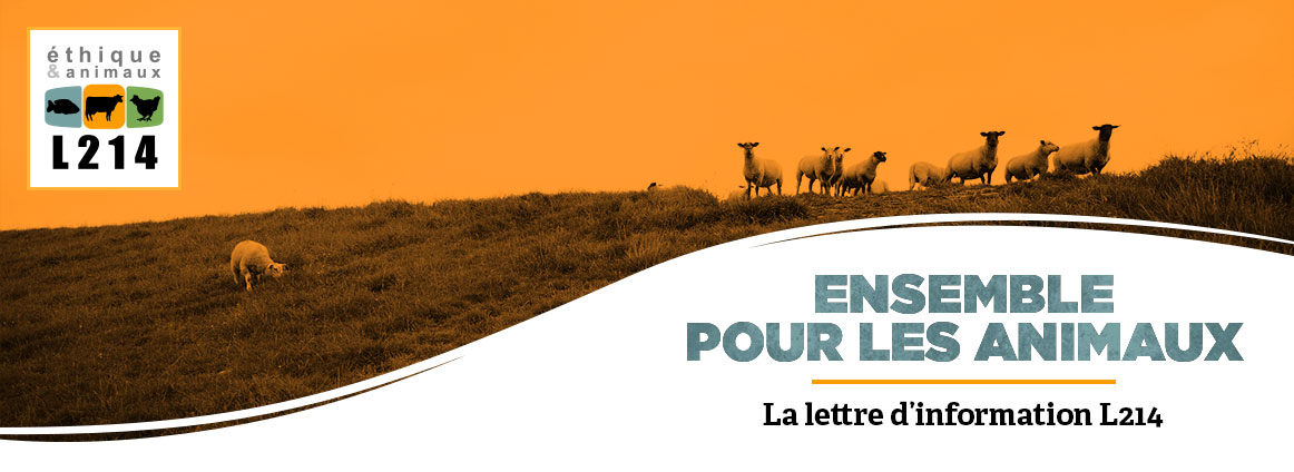 La boutique L214