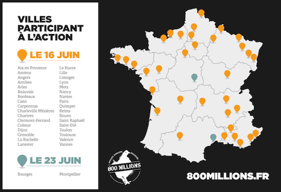 Mobilisation dans toute la France 800 millions poulets d'origine exploitée