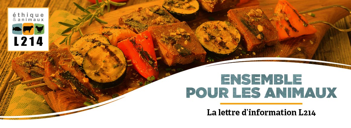 Lettre d'info L214