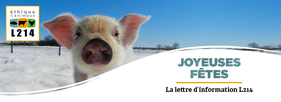 Lettre d'info L214