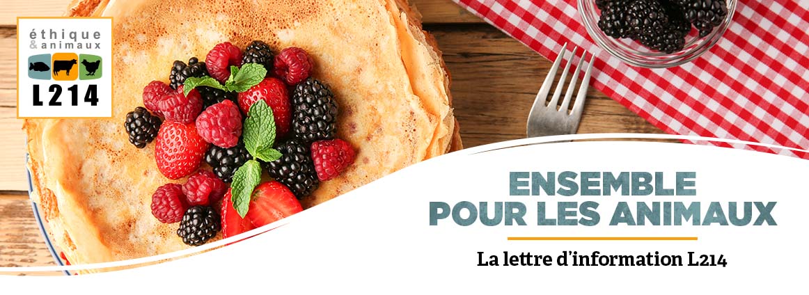 Recettes de crêpes pour la Chandeleur