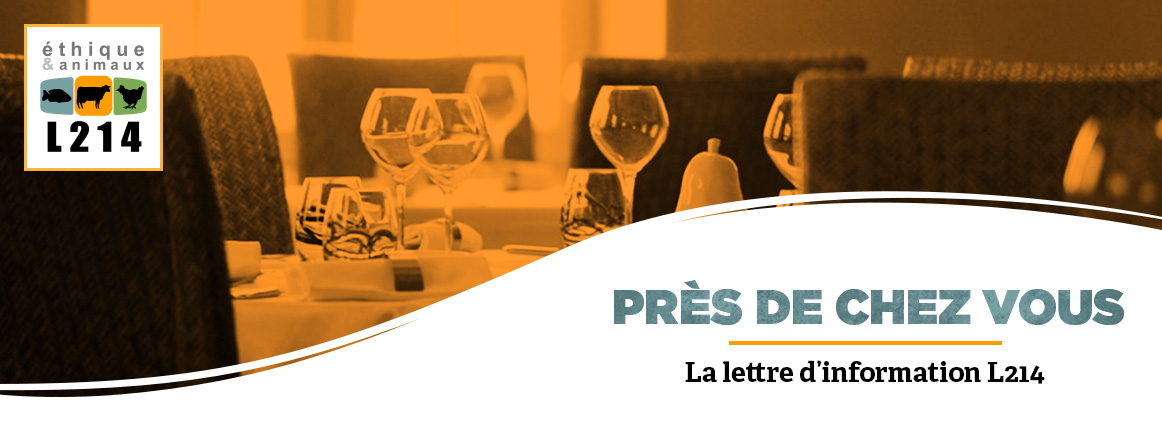 Lettre d'info L214