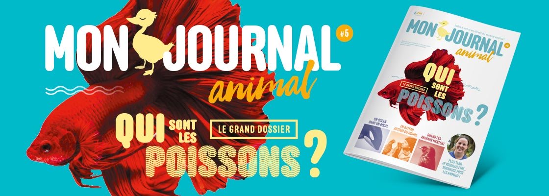 Mon journal animal n° 5